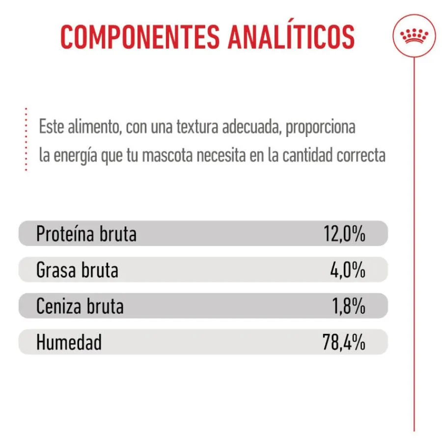Royal Canin Kitten paté sobre para gatos Sale