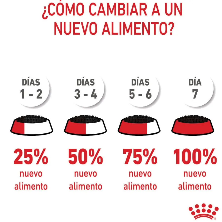 Royal Canin Kitten paté sobre para gatos Sale