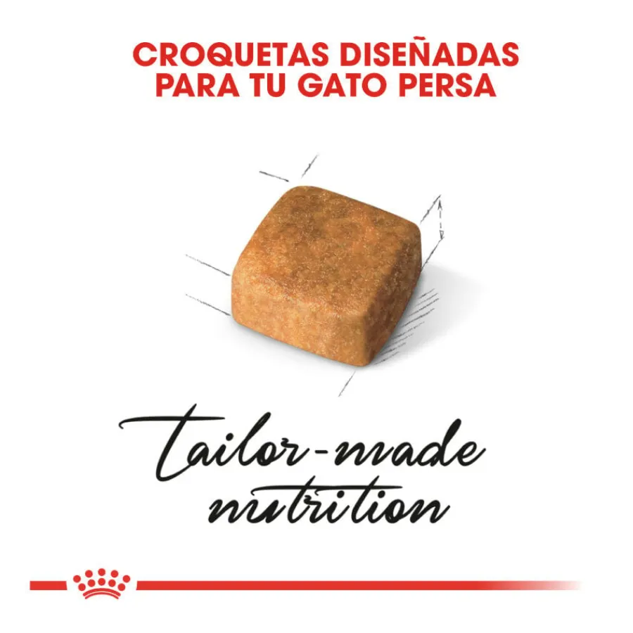 Royal Canin Kitten Persia pienso para gatos Best
