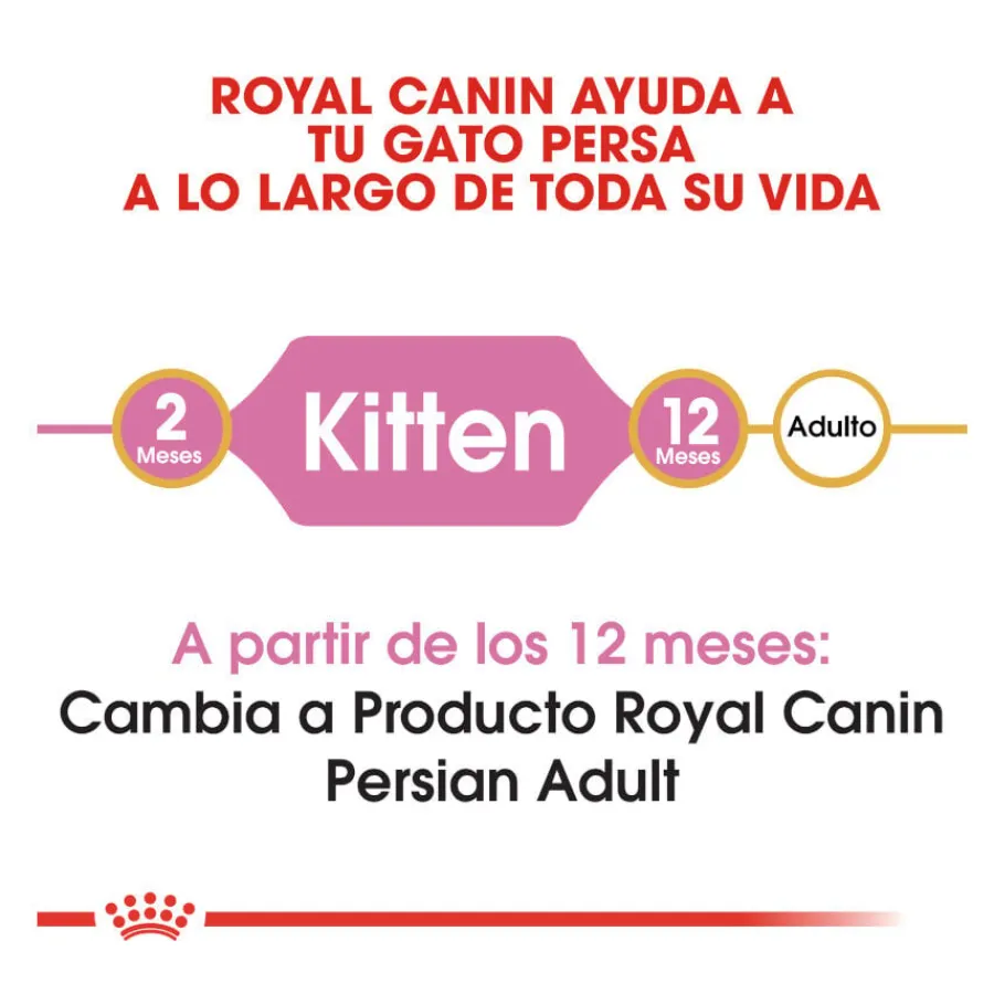 Royal Canin Kitten Persia pienso para gatos Best