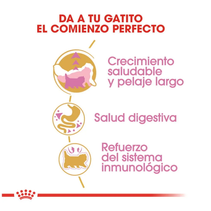 Royal Canin Kitten Persia pienso para gatos Best
