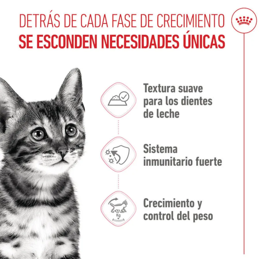 Royal Canin Kitten Sterilised salsa sobre para gatos Online