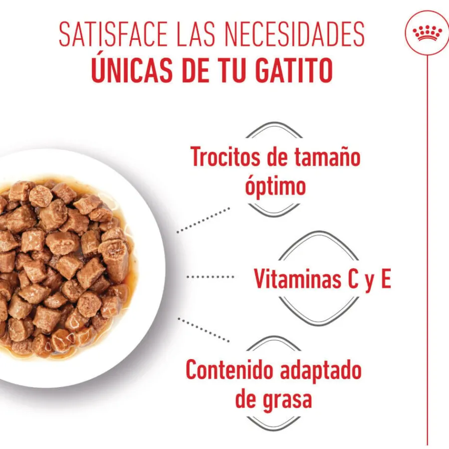 Royal Canin Kitten Sterilised salsa sobre para gatos Online
