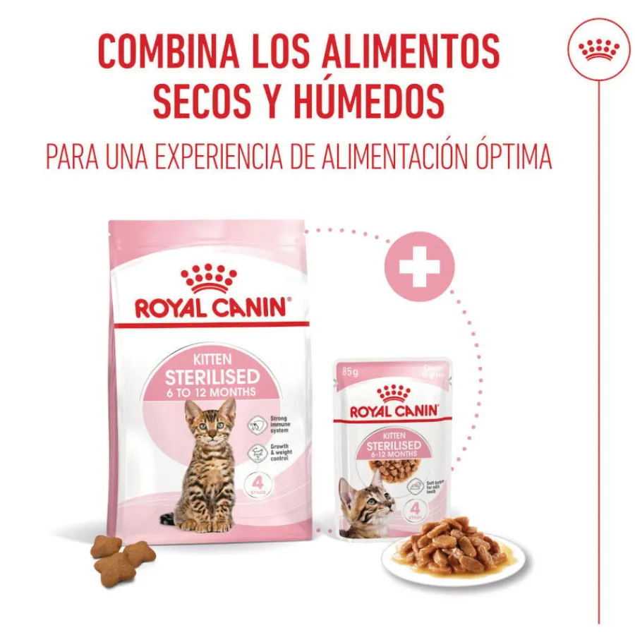 Royal Canin Kitten Sterilised salsa sobre para gatos Online