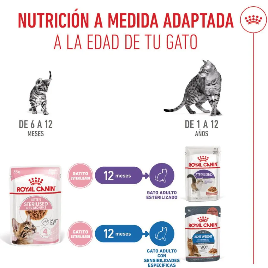 Royal Canin Kitten Sterilised salsa sobre para gatos Online