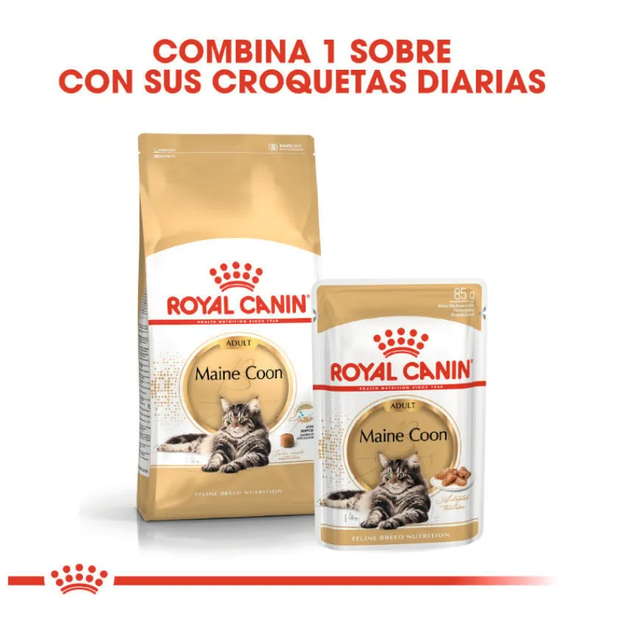 Royal Canin Maine Coon sobres para gatos