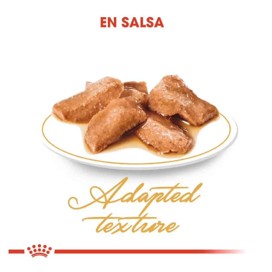 Royal Canin Maine Coon sobres para gatos