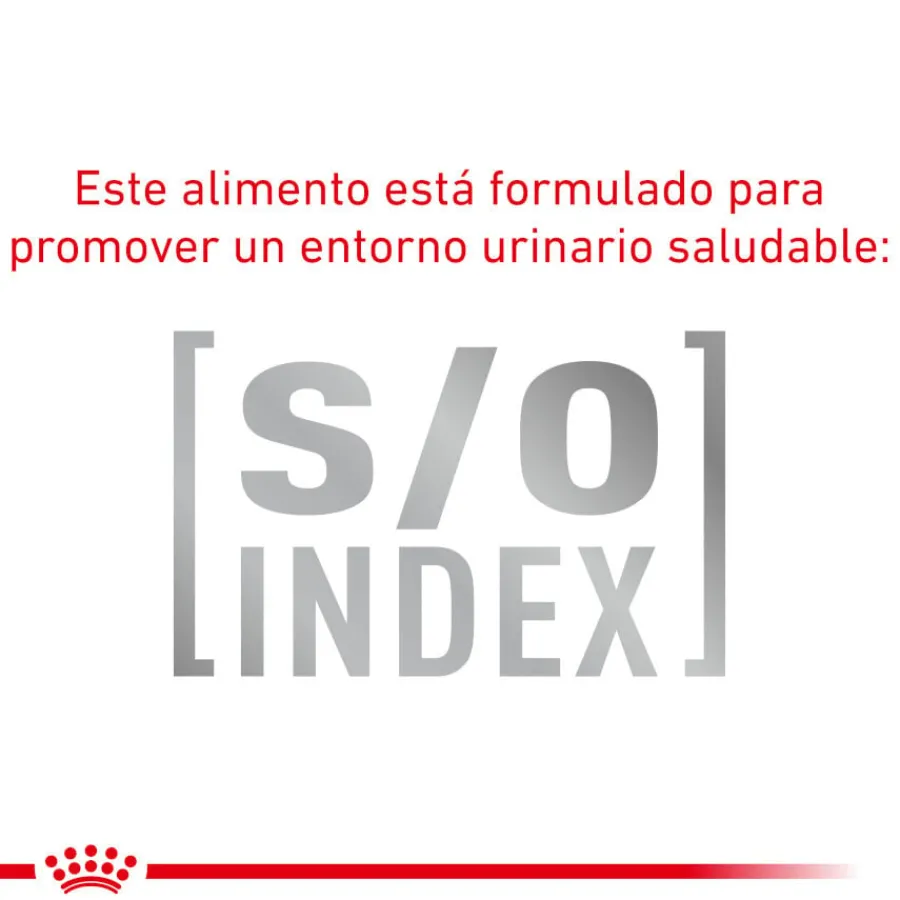 Royal Canin Mature Consult Balance Paté sobre para gatos Online