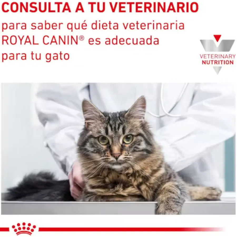 Royal Canin Mature Consult Láminas en Salsa Sobre para gatos Clearance