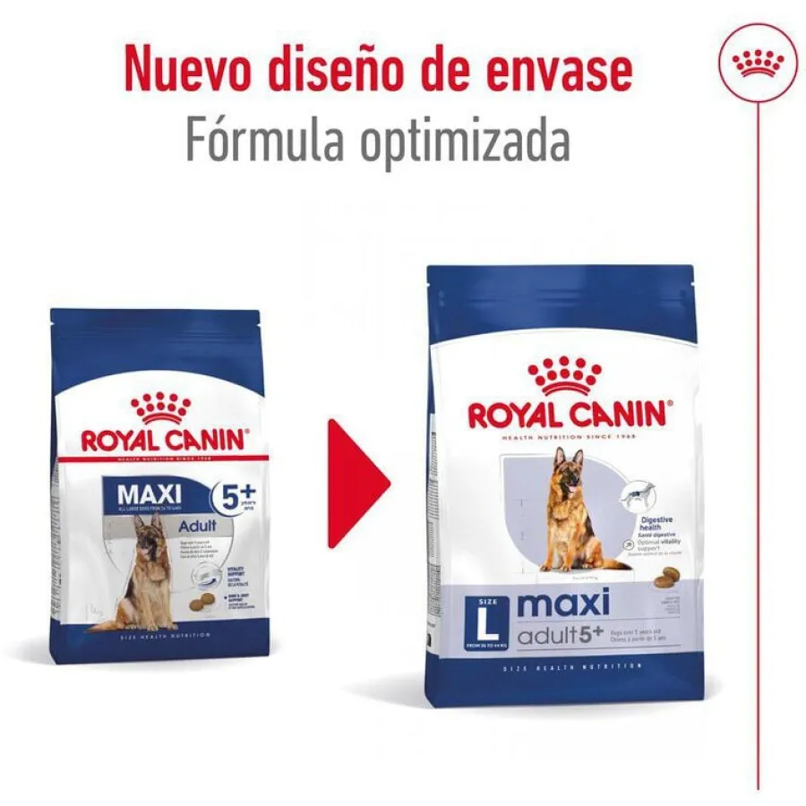 Royal Canin Maxi Adult 5+ pienso para perros senior de raza grande Sale