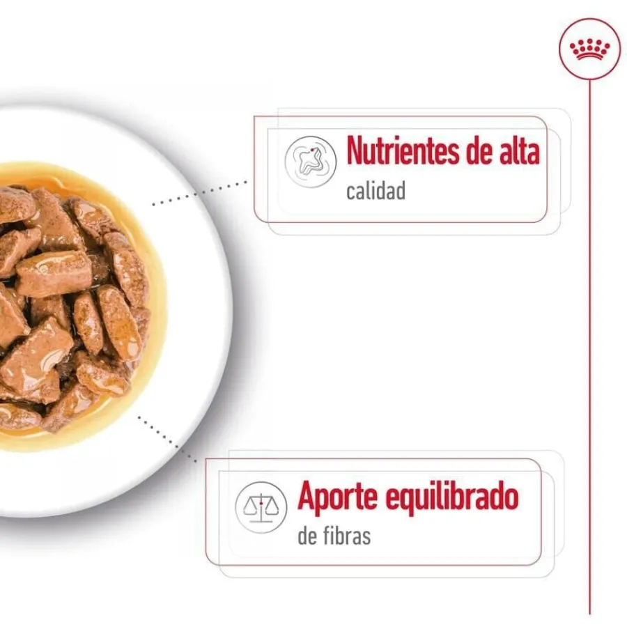Royal Canin Maxi Adult Carne sobre en salsa para perros New
