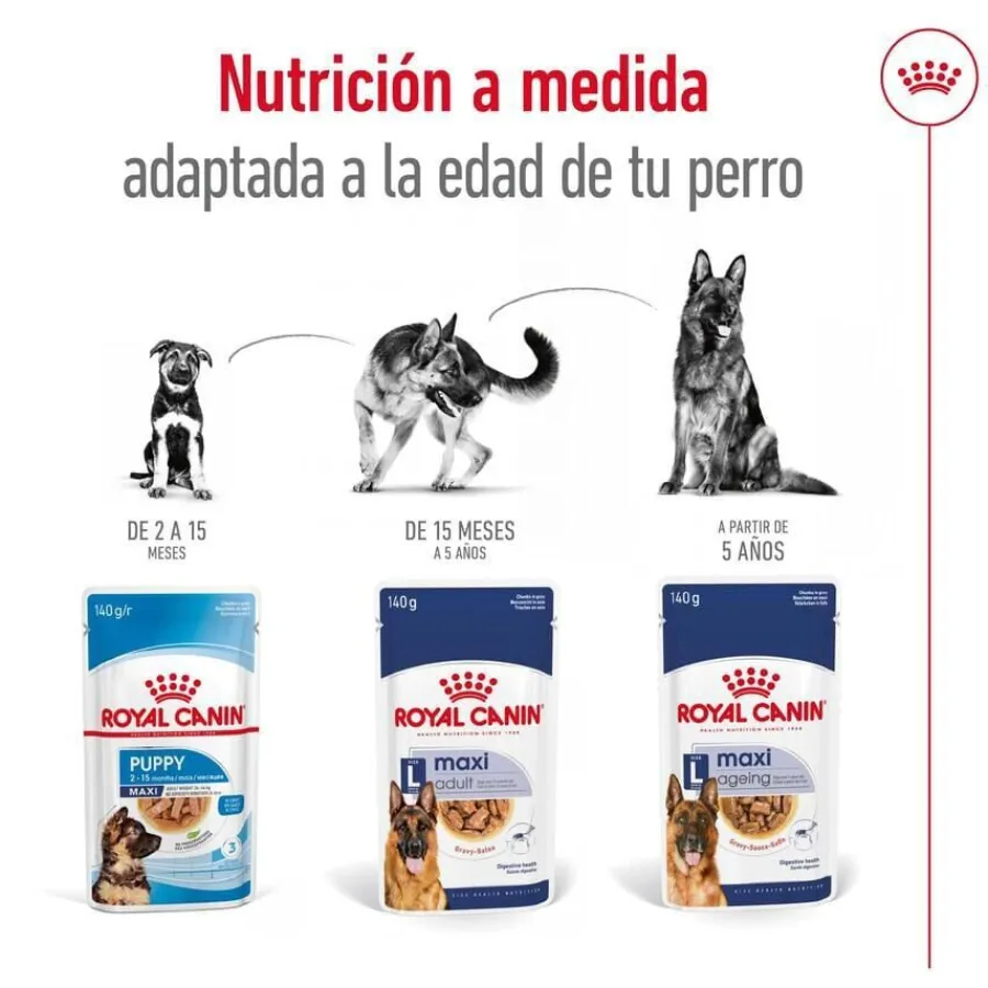 Royal Canin Maxi Adult Carne sobre en salsa para perros New
