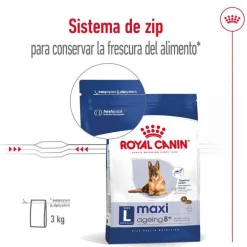 Royal Canin Maxi Ageing 8+ pienso para perros