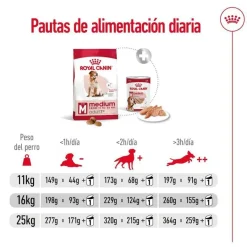 Royal Canin Medium 7+ Adult pienso para perros senior Online