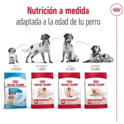 Royal Canin Medium 7+ Adult pienso para perros senior Online