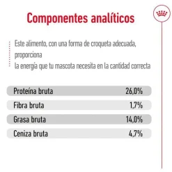 Royal Canin Medium 10+ Ageing pienso para perros Sale