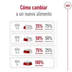 Royal Canin Medium 10+ Ageing pienso para perros Sale