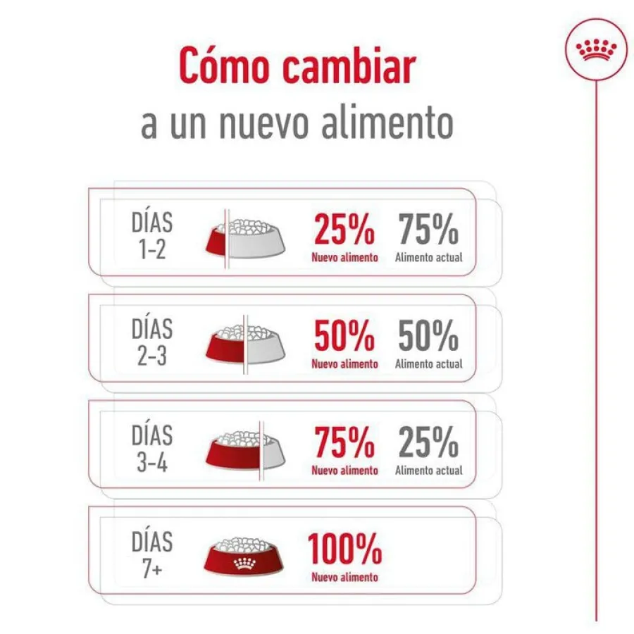 Royal Canin Medium 10+ Ageing pienso para perros Sale