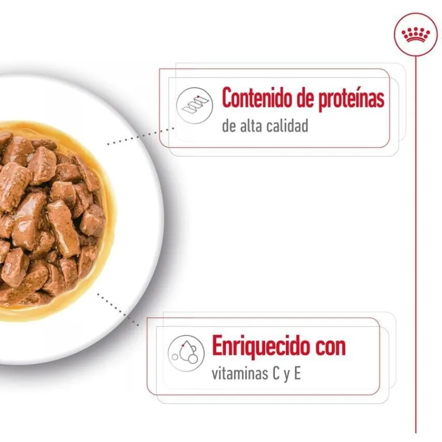 Royal Canin Medium Adult Sobre en salsa para perros Discount
