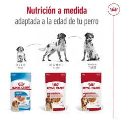 Royal Canin Medium Adult Sobre en salsa para perros Discount