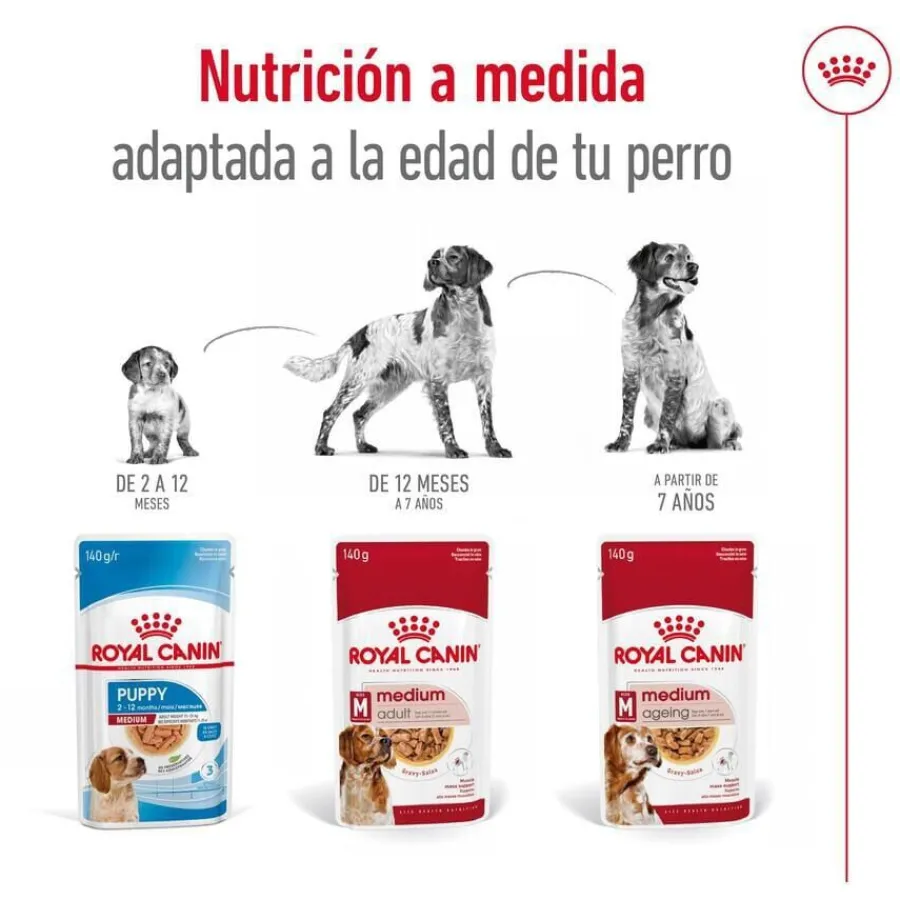 Royal Canin Medium Adult Sobre en salsa para perros Discount