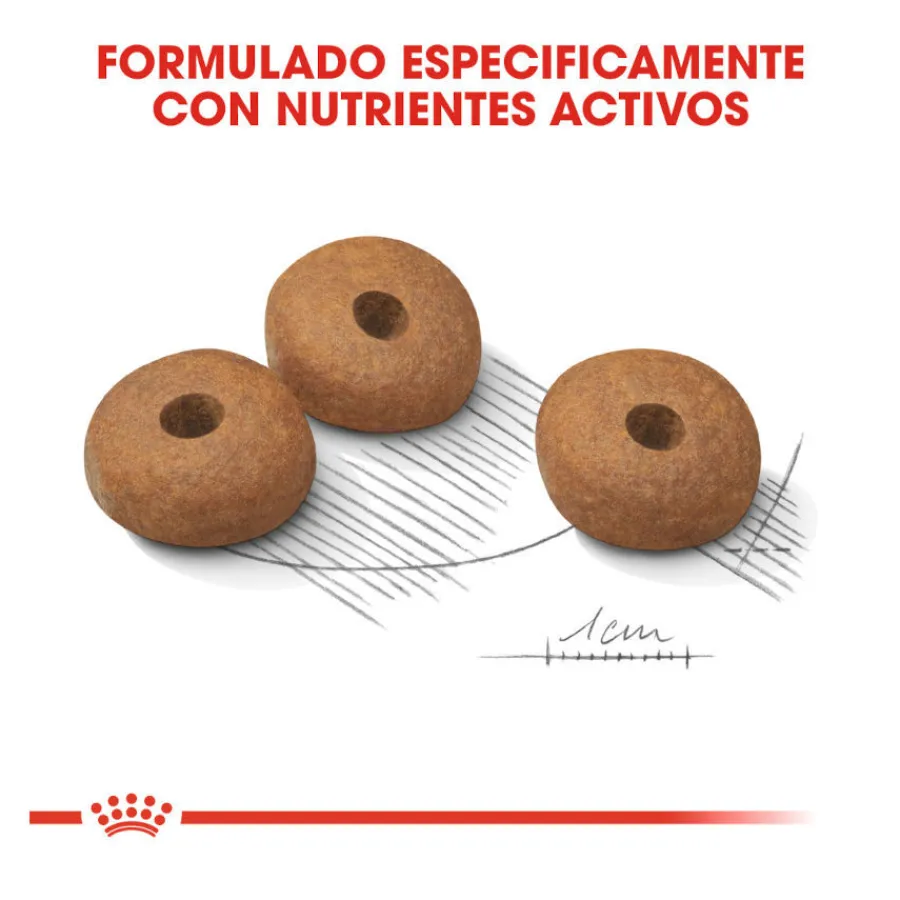 Royal Canin Medium Light Weight Care pienso para perros New