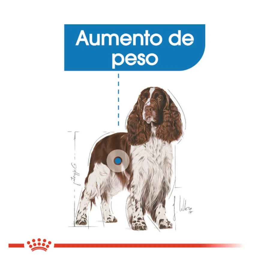 Royal Canin Medium Light Weight Care pienso para perros New