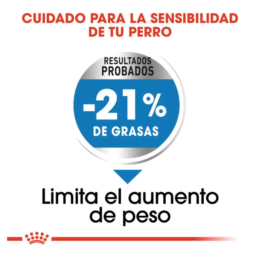 Royal Canin Medium Light Weight Care pienso para perros New