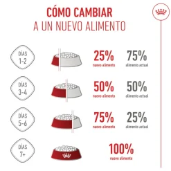 Royal Canin Medium Starter Mother&Baby pienso para perros Clearance