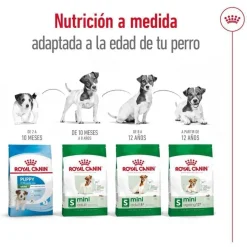 Royal Canin Mini 8+ Adult pienso para perros New