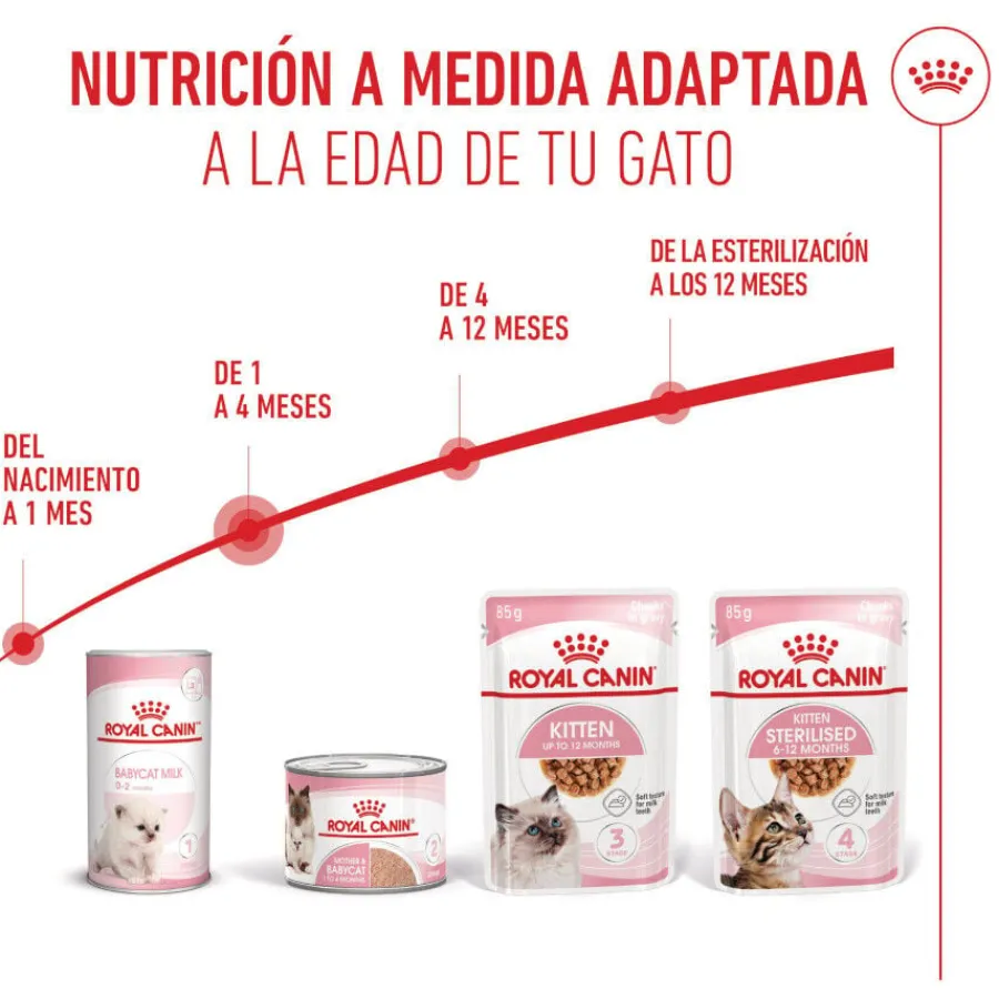 Royal Canin Mother & Baby mousse latas para gatos New