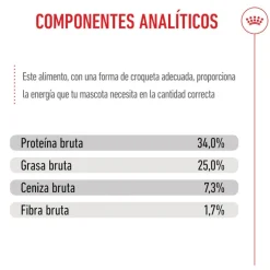 Royal Canin Mother & Babycat pienso para gatos Best