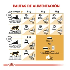 Royal Canin Persian pienso para gato adulto persa Hot