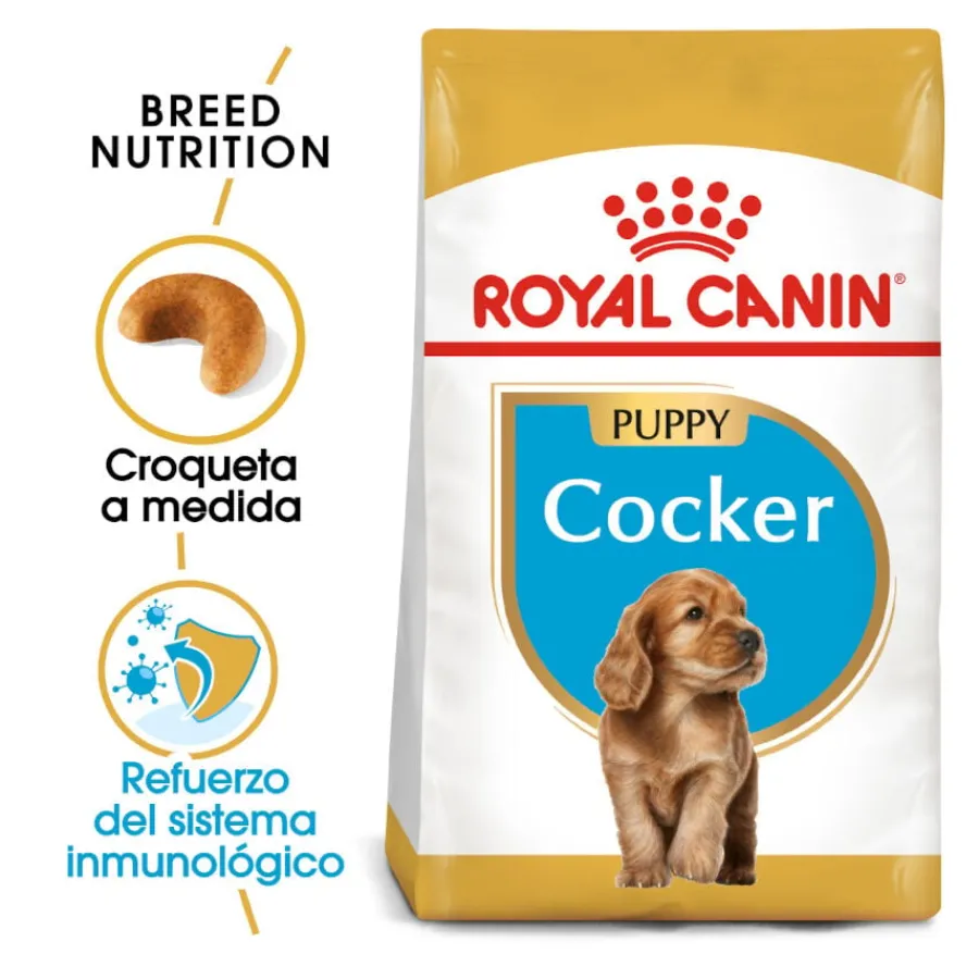 Royal Canin Puppy Cocker pienso para perros Online