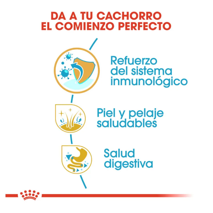 Royal Canin Puppy Cocker pienso para perros Online
