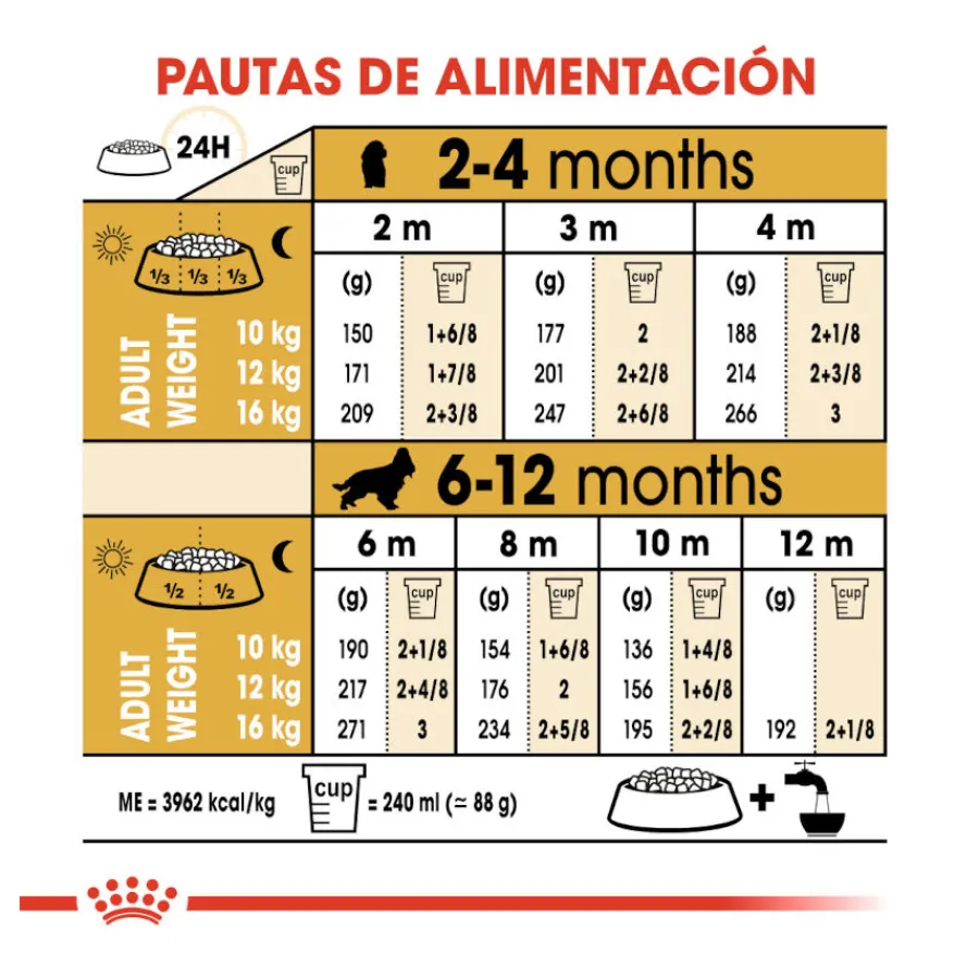 Royal Canin Puppy Cocker pienso para perros Online