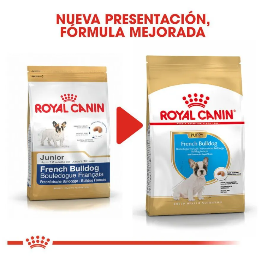 Royal Canin Puppy French Bulldog pienso para perros Hot