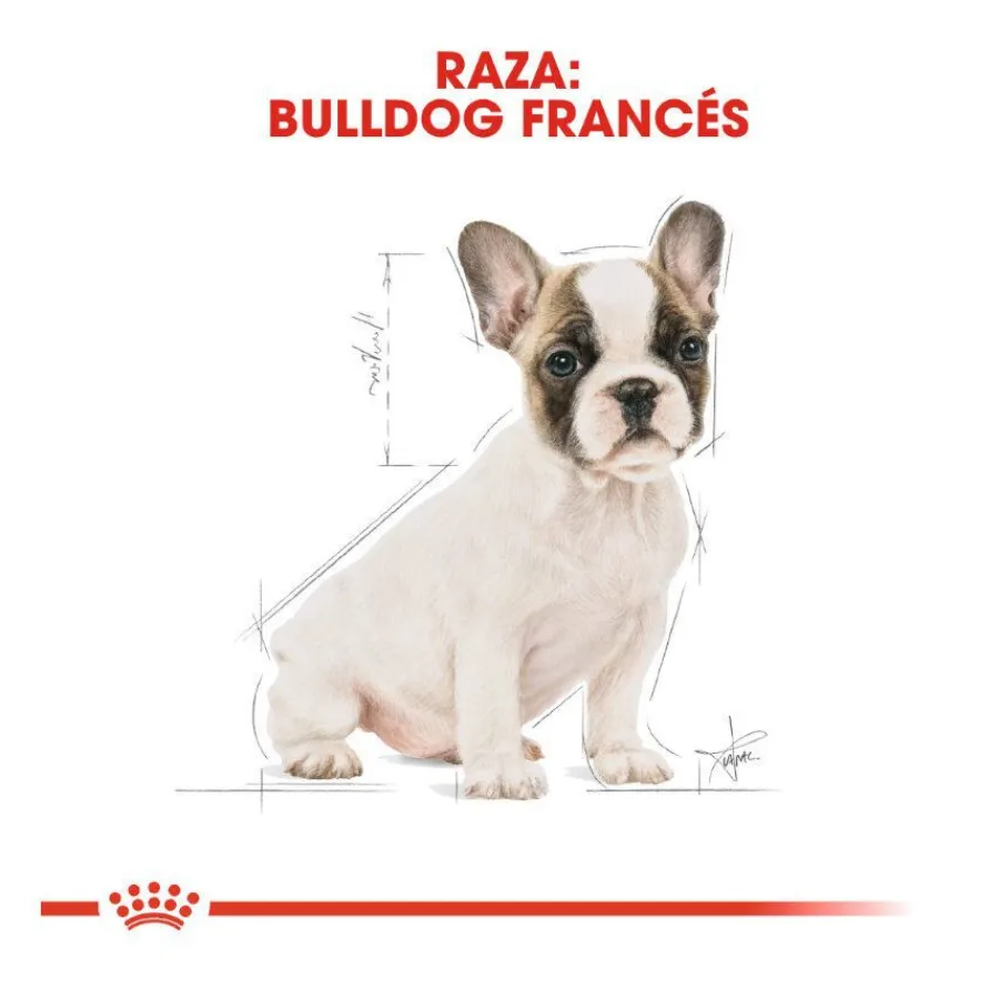 Royal Canin Puppy French Bulldog pienso para perros Hot