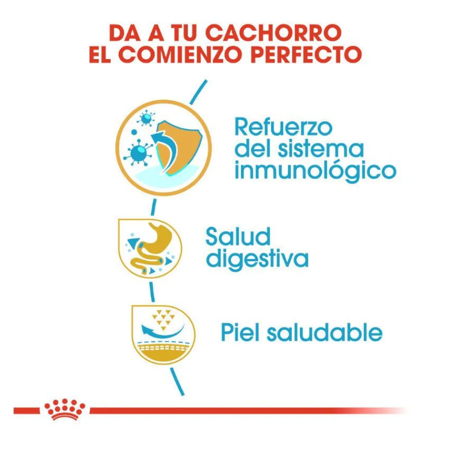 Royal Canin Puppy French Bulldog pienso para perros Hot