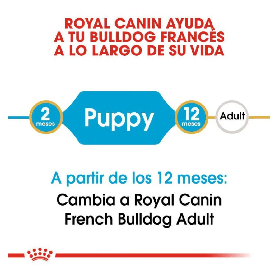 Royal Canin Puppy French Bulldog pienso para perros Hot