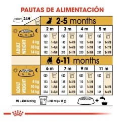 Royal Canin Puppy French Bulldog pienso para perros Hot