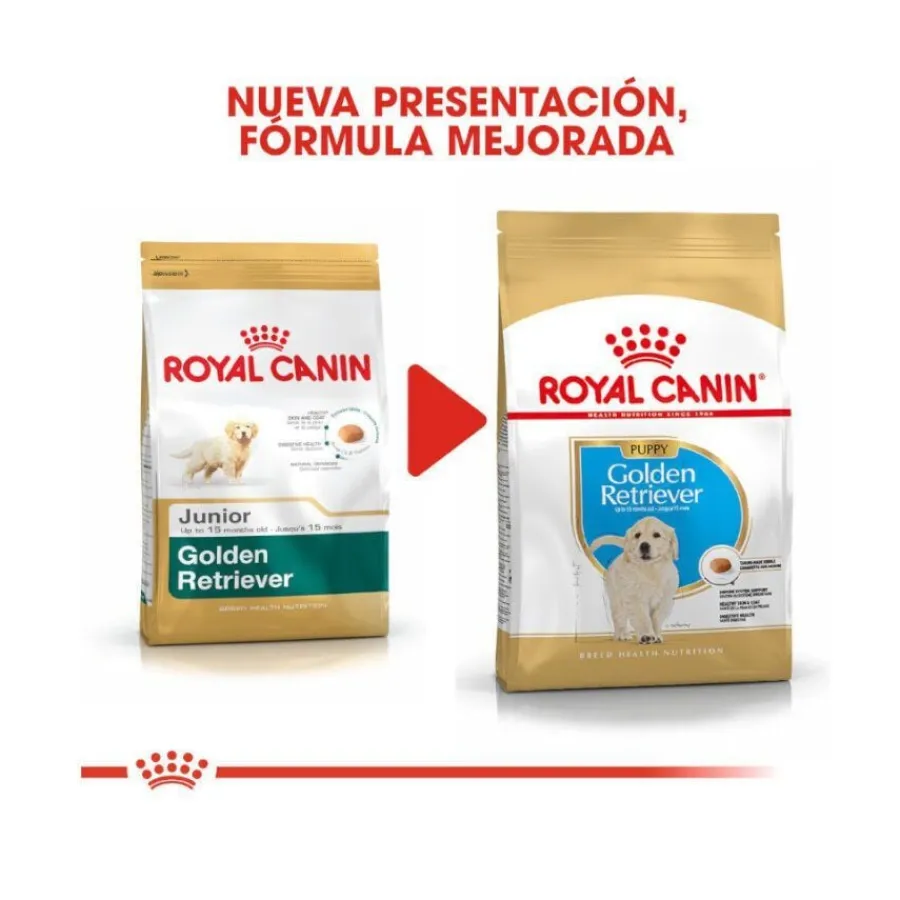 Royal Canin Puppy Golden Retriever pienso para perros New