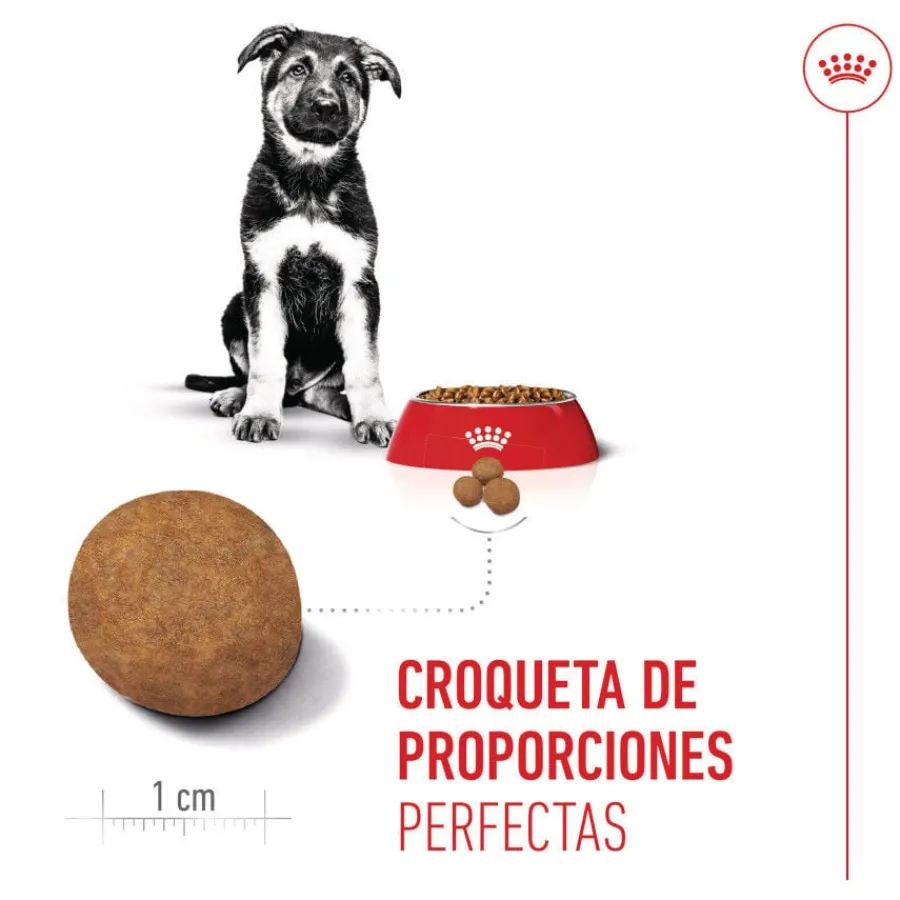 Royal Canin Puppy Maxi pienso para perros Hot