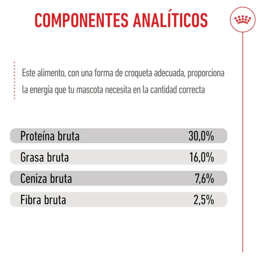 Royal Canin Puppy Maxi pienso para perros Hot
