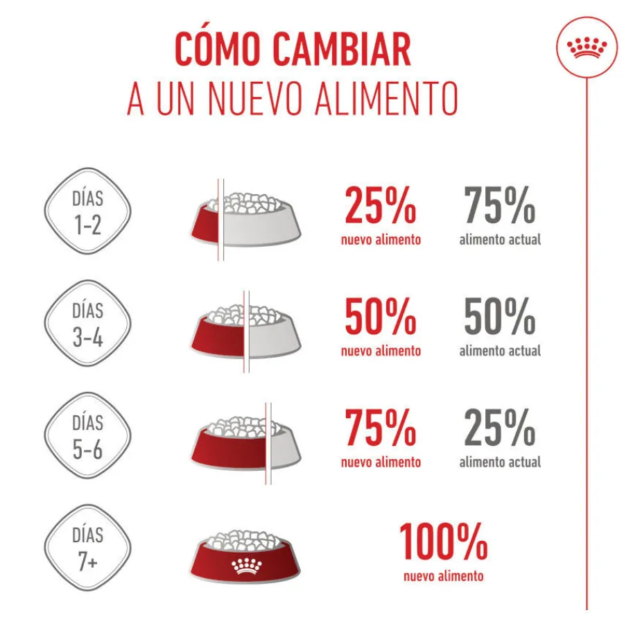 Royal Canin Puppy Maxi pienso para perros Hot