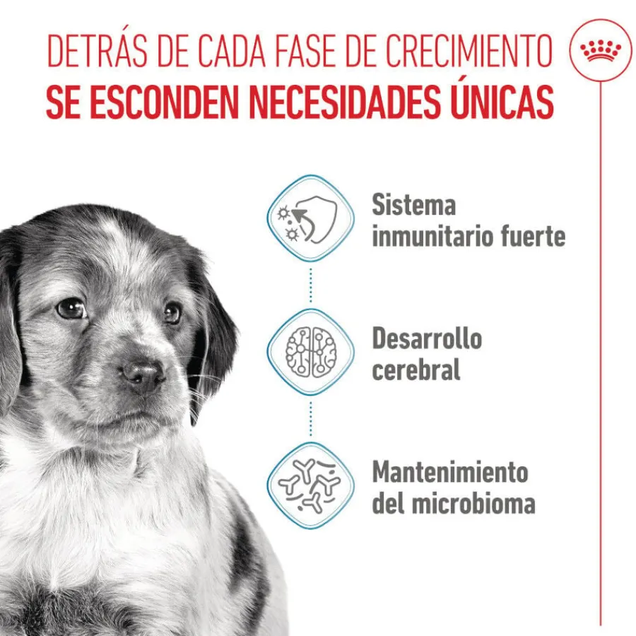 Royal Canin Puppy Medium pienso para cachorros Hot