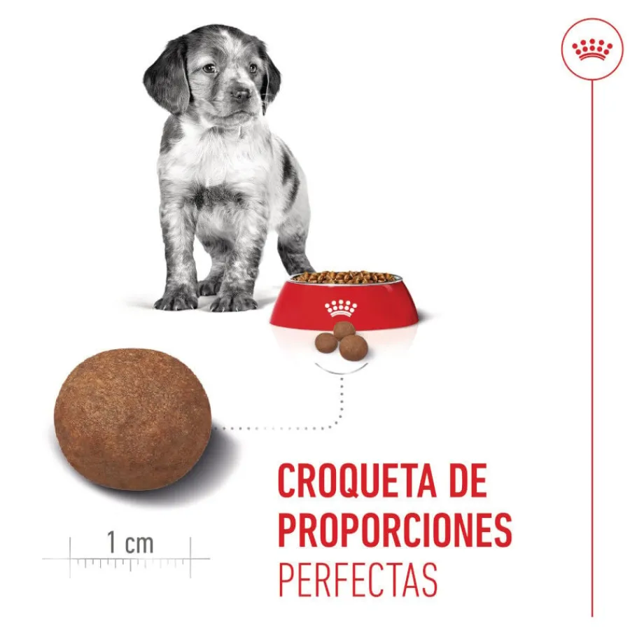 Royal Canin Puppy Medium pienso para cachorros Hot