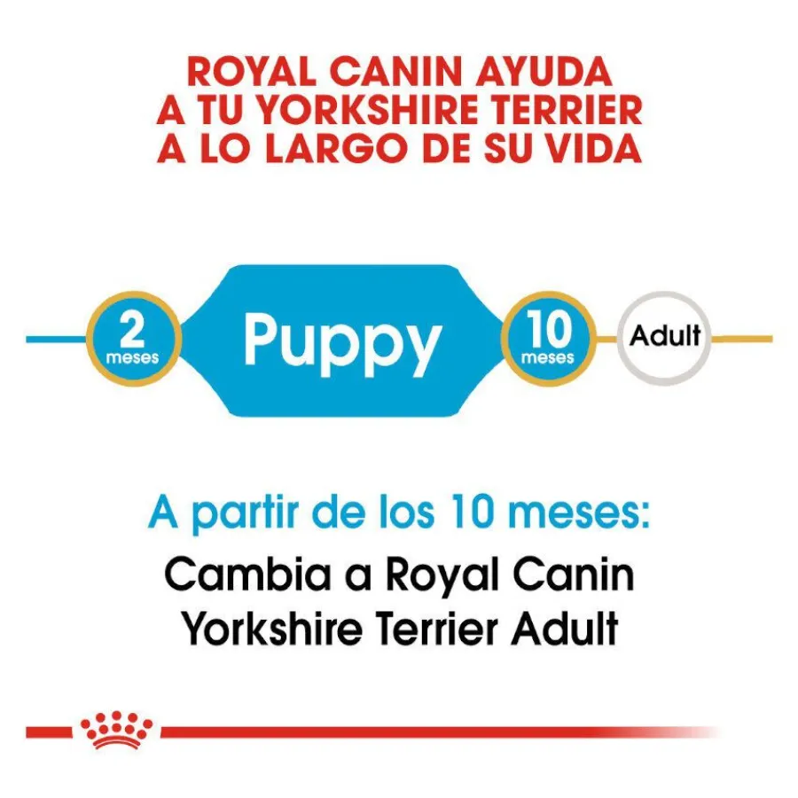 Royal Canin Puppy Yorkshire Terrier pienso para cachorros Outlet