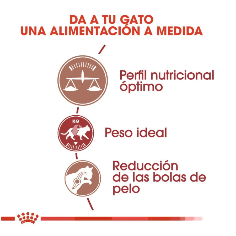 Royal Canin Regular Fit 32 pienso para gatos Discount