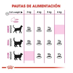 Royal Canin Regular Fit 32 pienso para gatos Discount